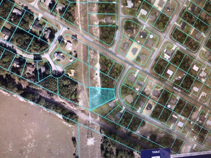 Property Photo: 0 Bahia Court Track FL 34472