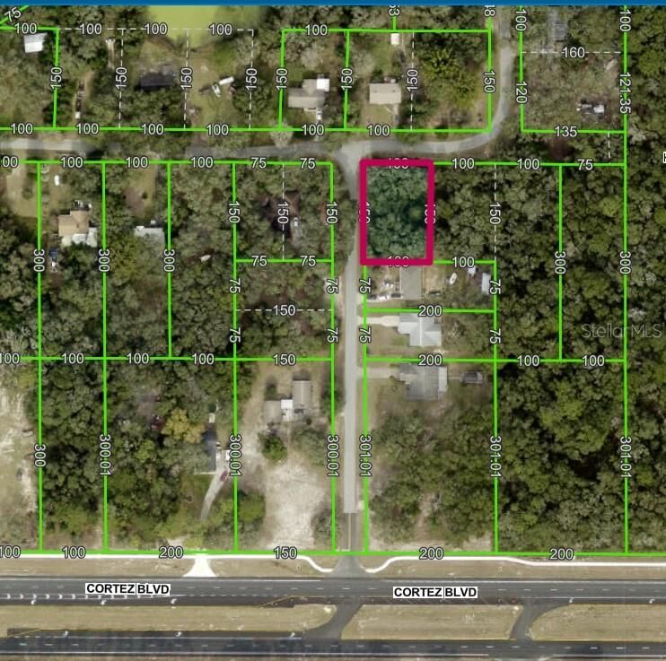 Property Photo:  Lot 175C Madison Avenue  FL 33523 