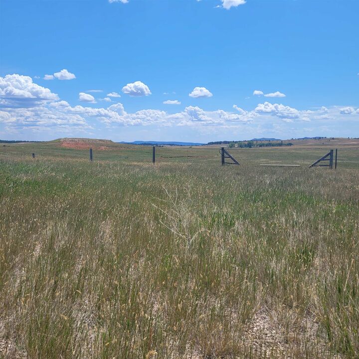 Property Photo: 10239 Valley Road SD 57730