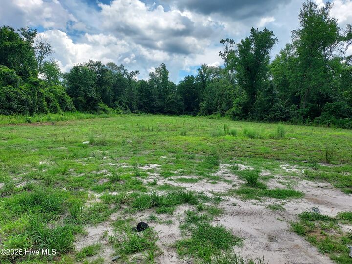 Property Photo:  646 Bright Harvest Drive  NC 28555 