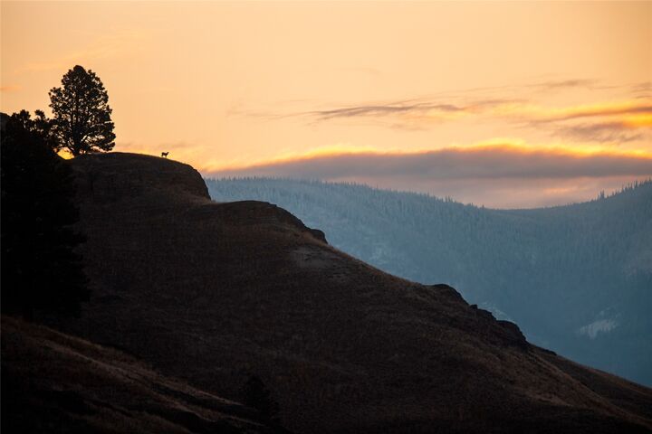 Property Photo:  44625 Wild Horse Island Lane  MT 59914 