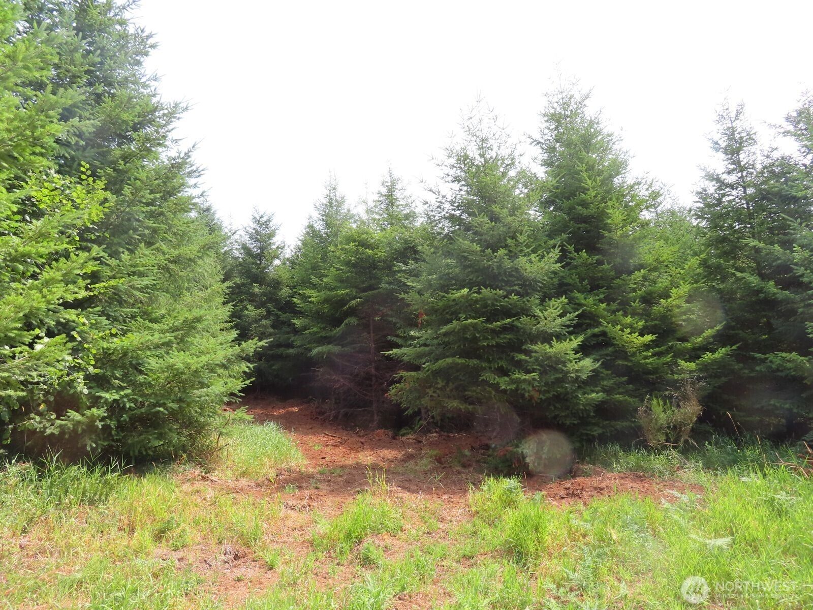 Property Photo: 0 Lot E Mill Creek Lane WA 98632