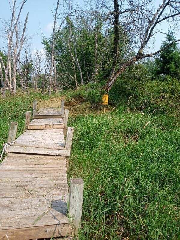 Property Photo: Lot 4 County Road F WI 53949