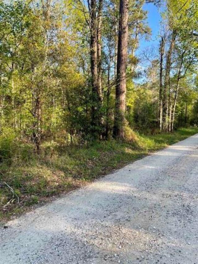 Property Photo: Tbd County Road 4205 TX 77632