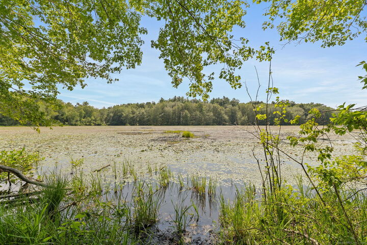 Property Photo:  4 Paradise Drive  CT 06234 
