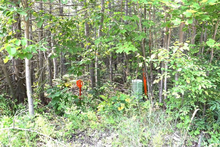 1797 Derby Road  Indian River MI 49749 photo
