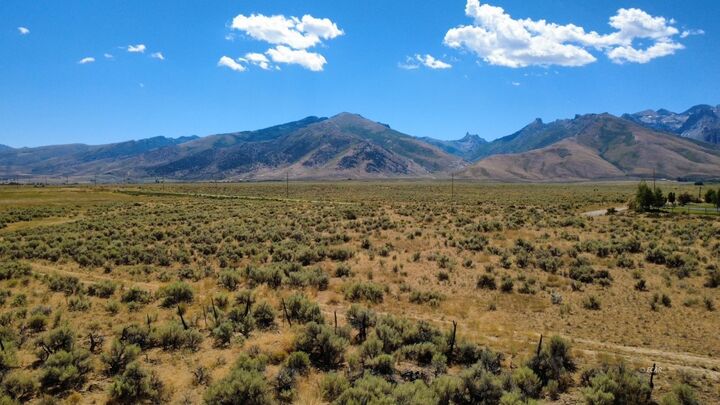 Property Photo: 80.21 Acres A NV 89828