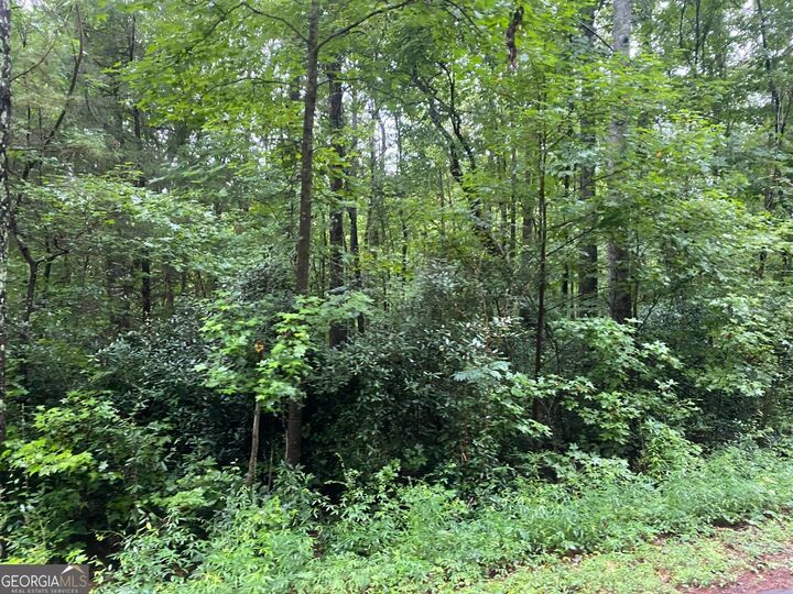 Property Photo:  0 Holtzclaw Road  GA 30220 