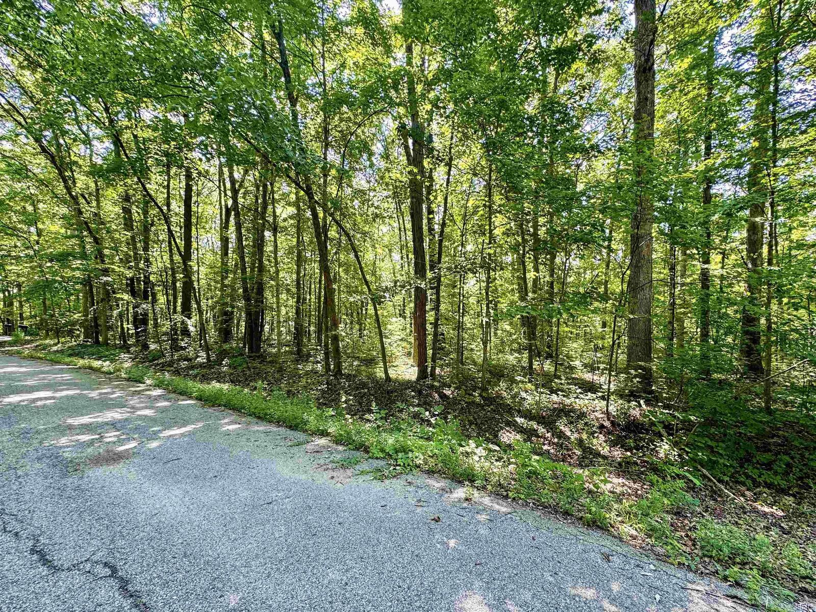 Property Photo: 0 Hickory Lane IN 46845