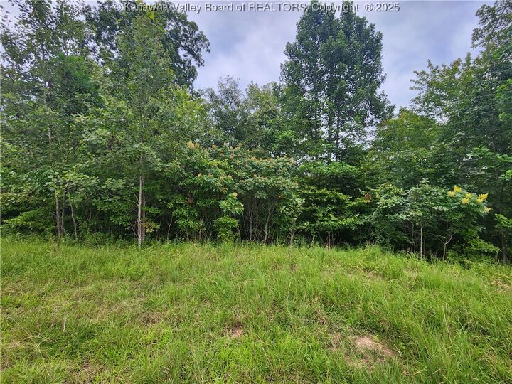 Property Photo: 00 Mountain Highland Ridge WV 25003