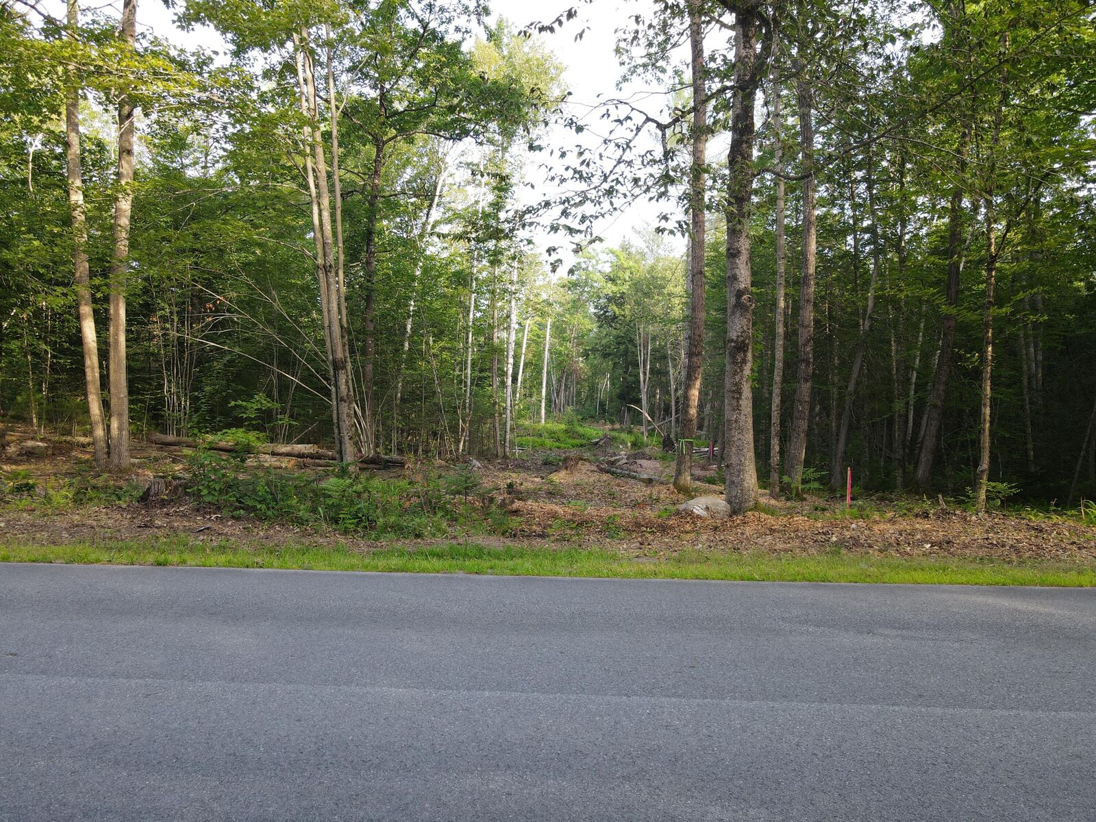 Property Photo: Lot 7 Oak Pond Road ME 04967