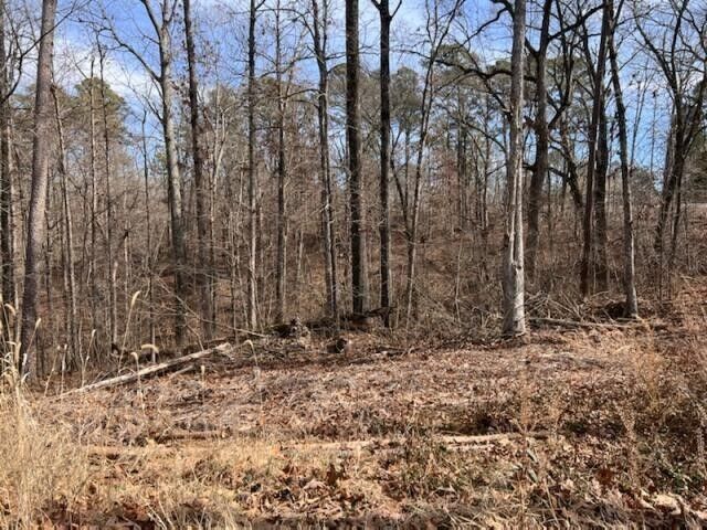 Property Photo: Lot 1 Ealing Circle AR 72714