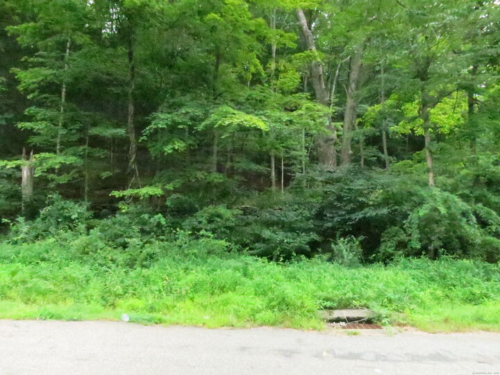 Property Photo: 10 Cherry Swamp Road CT 06469