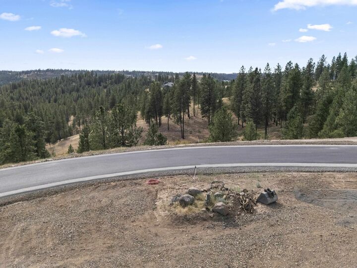 Property Photo:  18xx3 Balsam Hill Ln Lot 3  WA 99036 