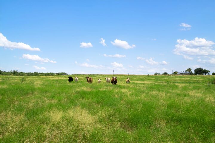 Property Photo: 1775 County Road 305 Road TX 76537