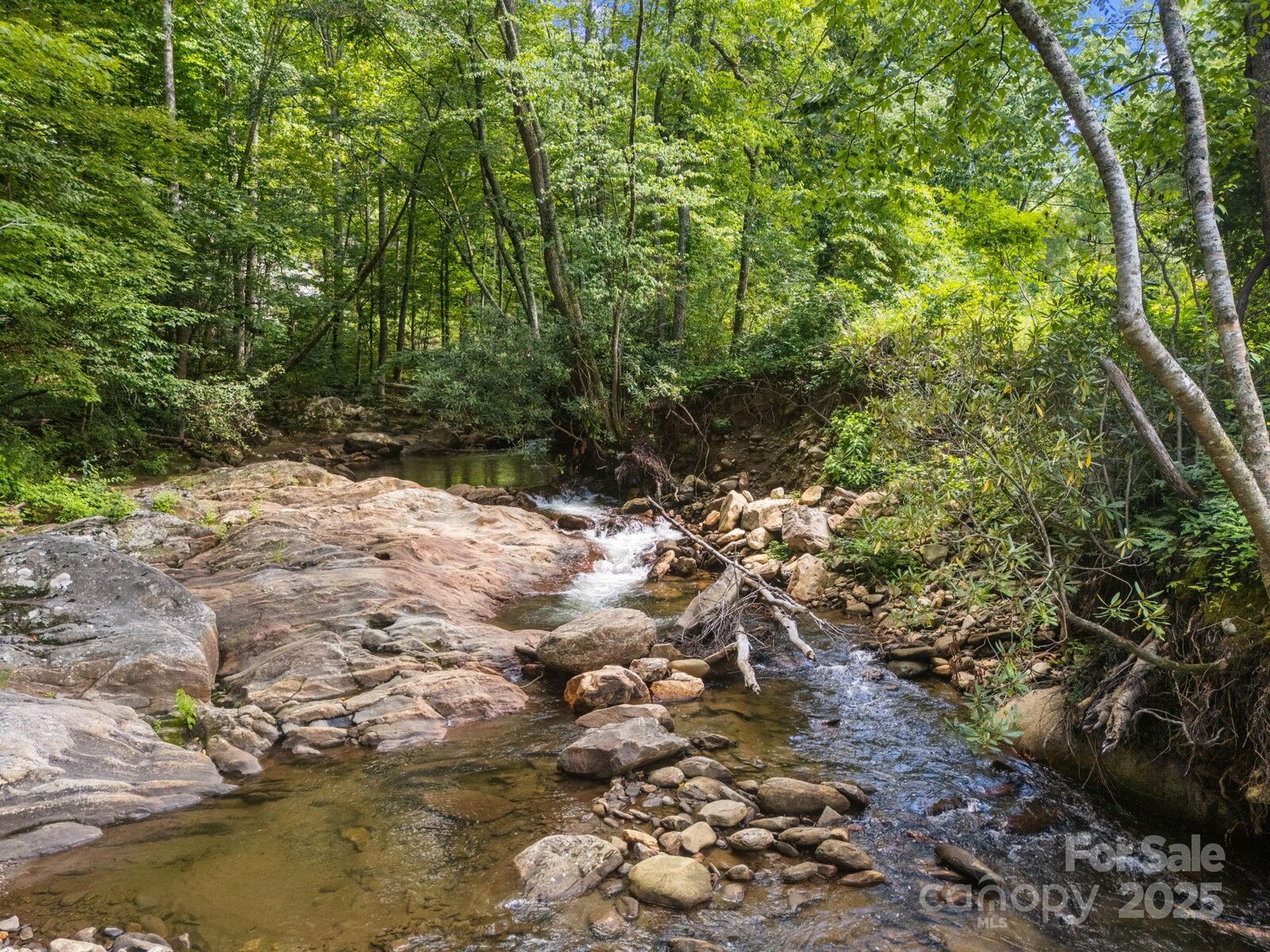 Property Photo: 00 Shining Rock Drive 22 NC 28716