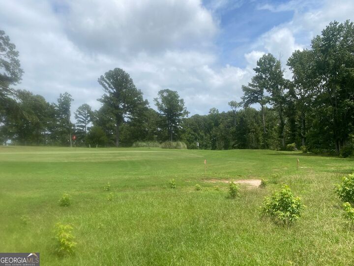 Property Photo: 1517 Cabin Creek Trail GA 30223