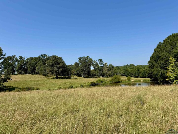 0000 Hwy 59 N  Linden TX 75563 photo