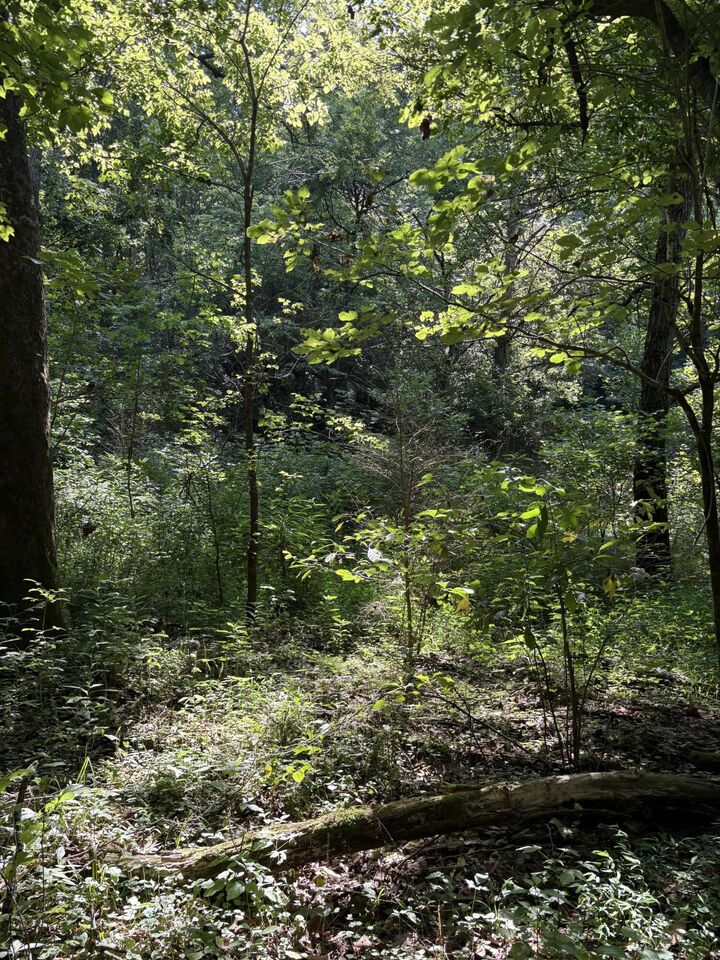 Property Photo:  2184 Shadrick Ferry Road  KY 40601 