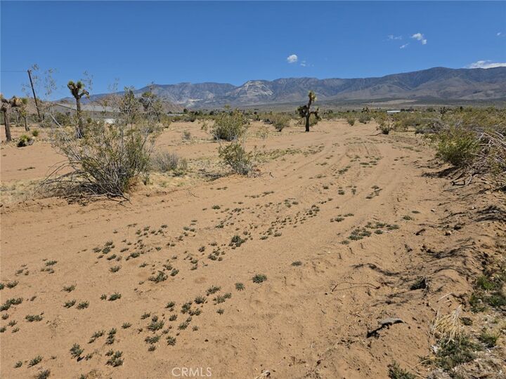 Property Photo: 31357 Pawnee Street CA 92356