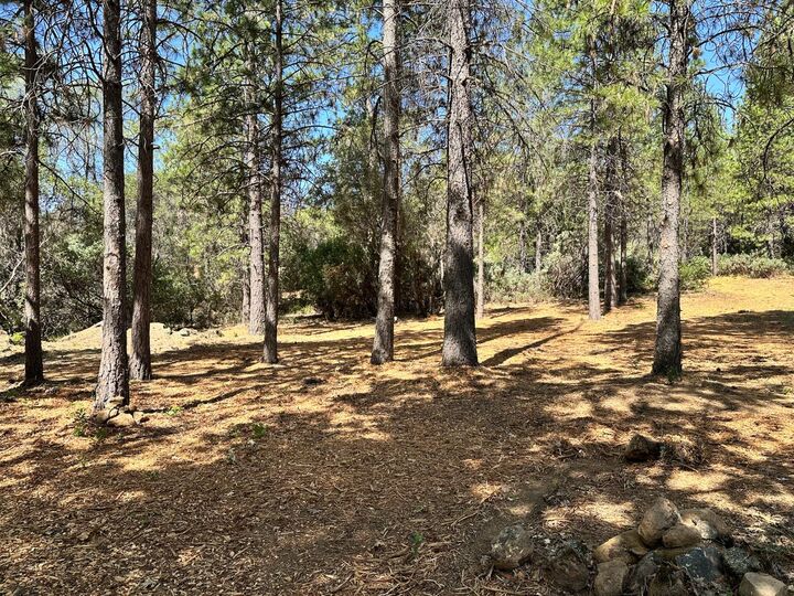 Property Photo:  1835 E Summit View Drive  CA 95722 