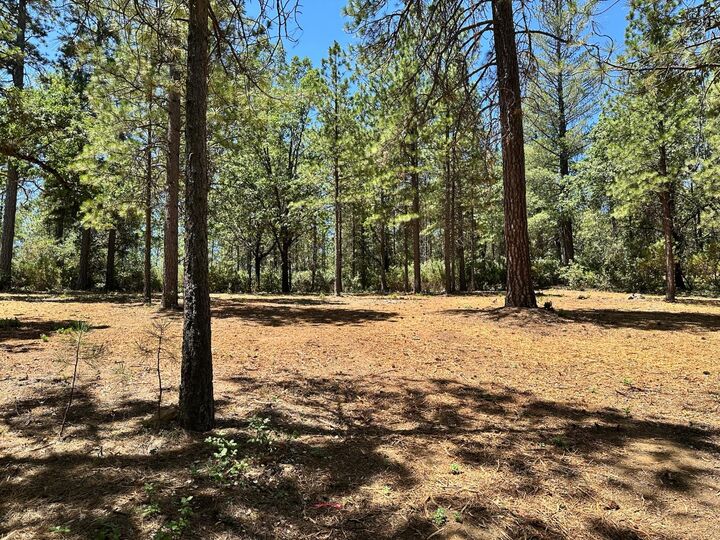 Property Photo: 1810 E Summit View Drive CA 95722