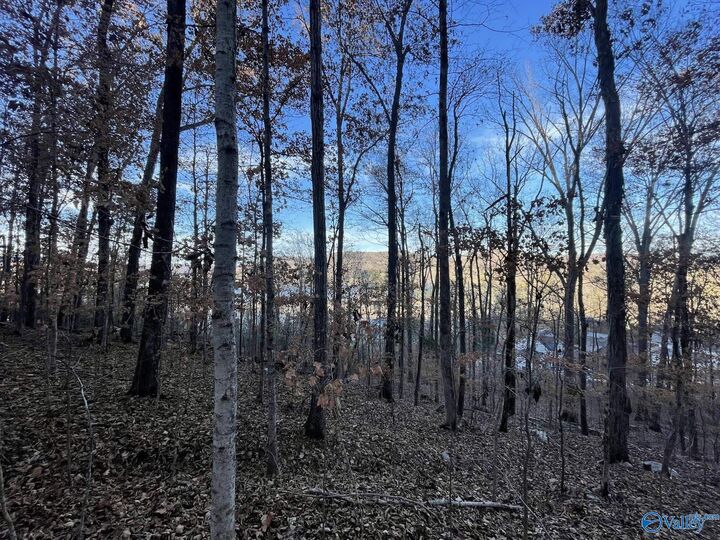 Property Photo: 4.08 Acres Mitchell Hollow Road AL 35747