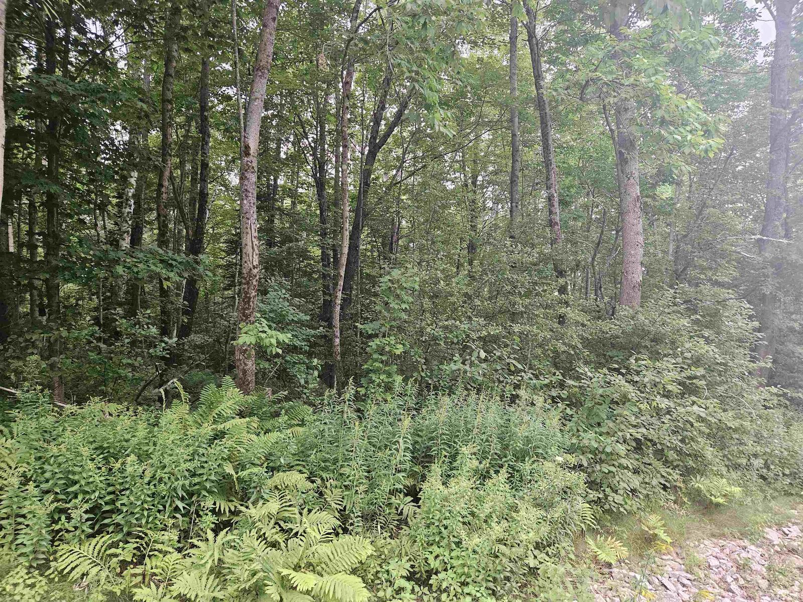 Property Photo: Lot 36 &Amp 37 Agassiz Street NH 03574