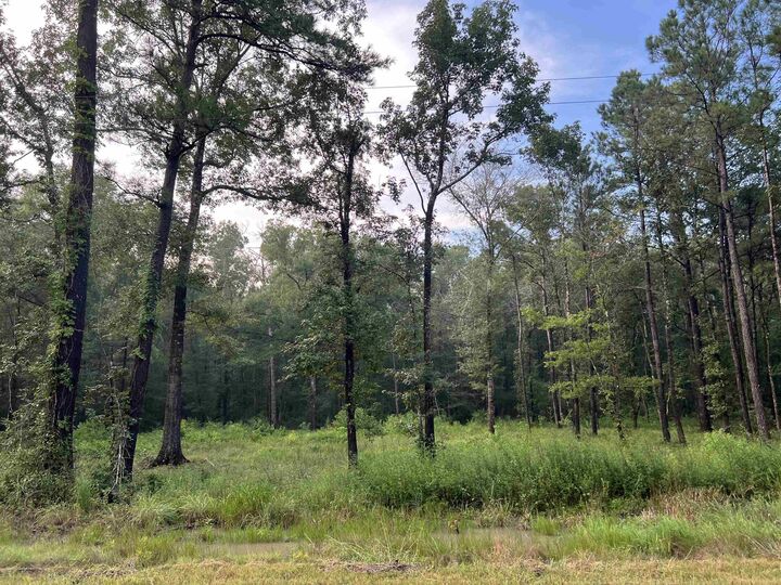 Property Photo: 1715 Bobcat Circle TX 77630