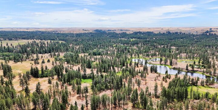Nka S Stangland Rd  Medical Lake WA 99022 photo