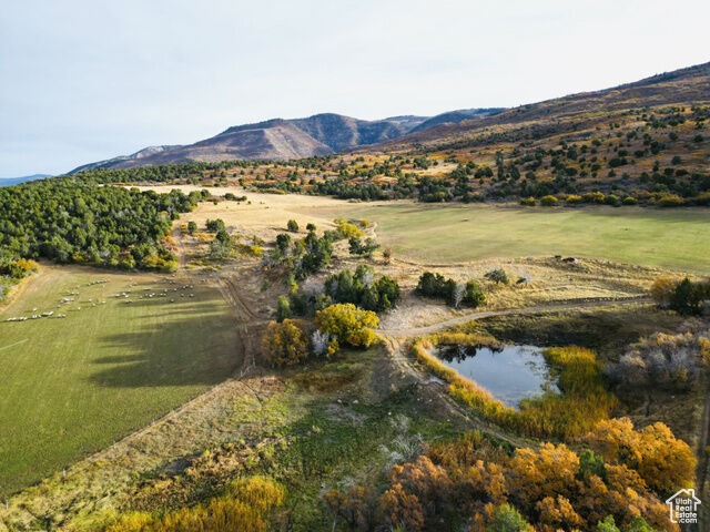 900 N Clements Lane #2  Fairview UT 84629 photo