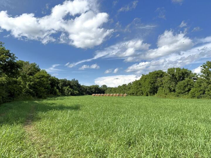 Property Photo:  00 Highway 63  AR 72542 