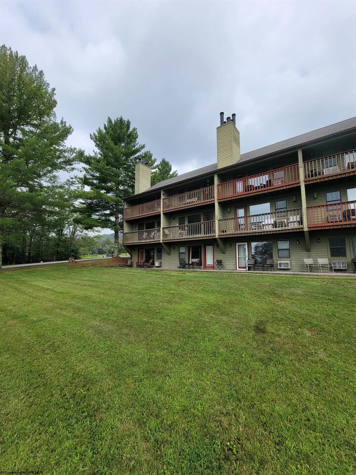 16 Grizzly Way  Davis WV 26260 photo