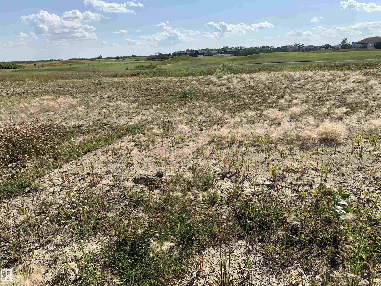Property Photo:  17 Whitetail Crescent  AB T0B 3H0 