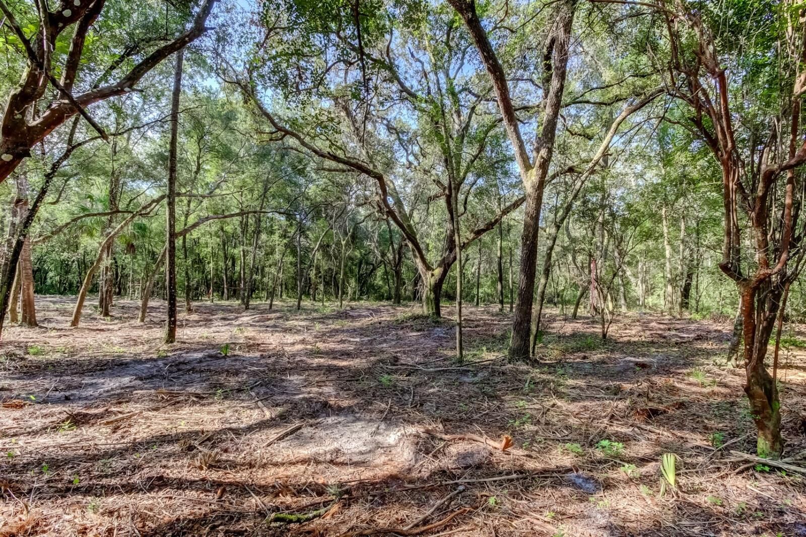 Property Photo: 14004 Peace Boulevard FL 34610