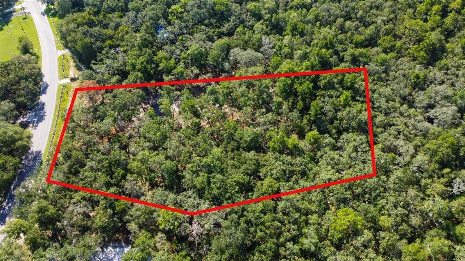 Property Photo:  14004 Peace Boulevard  FL 34610 