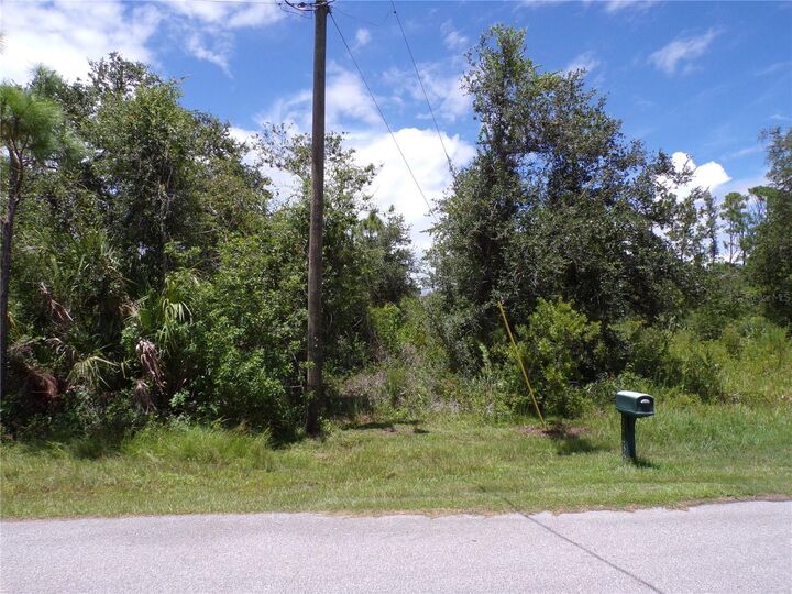 Property Photo:  14084 Alabama Avenue  FL 33953 