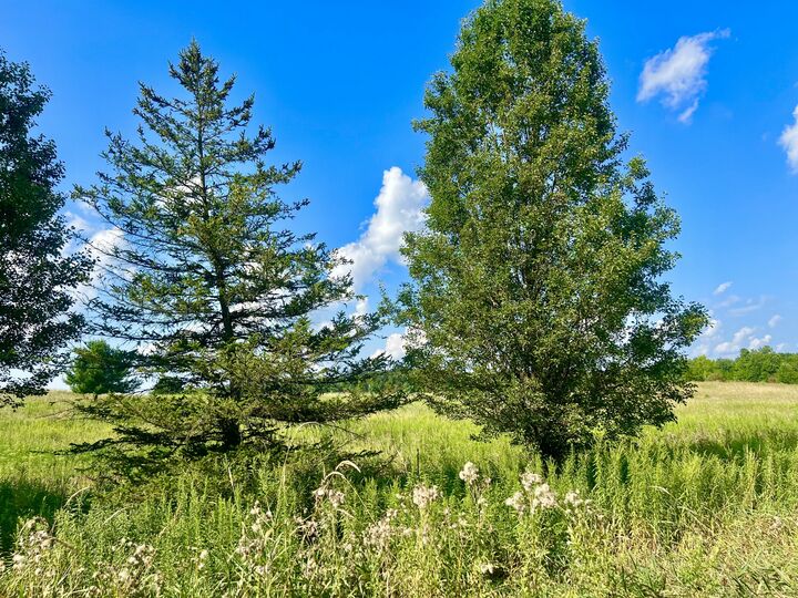 Property Photo:  Dimmers Road  MI 49274 