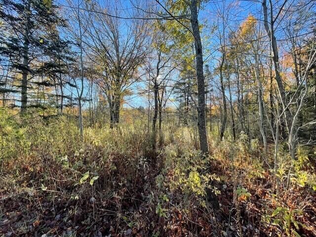 Property Photo:  0 Maker Cove Road  ME 04854 