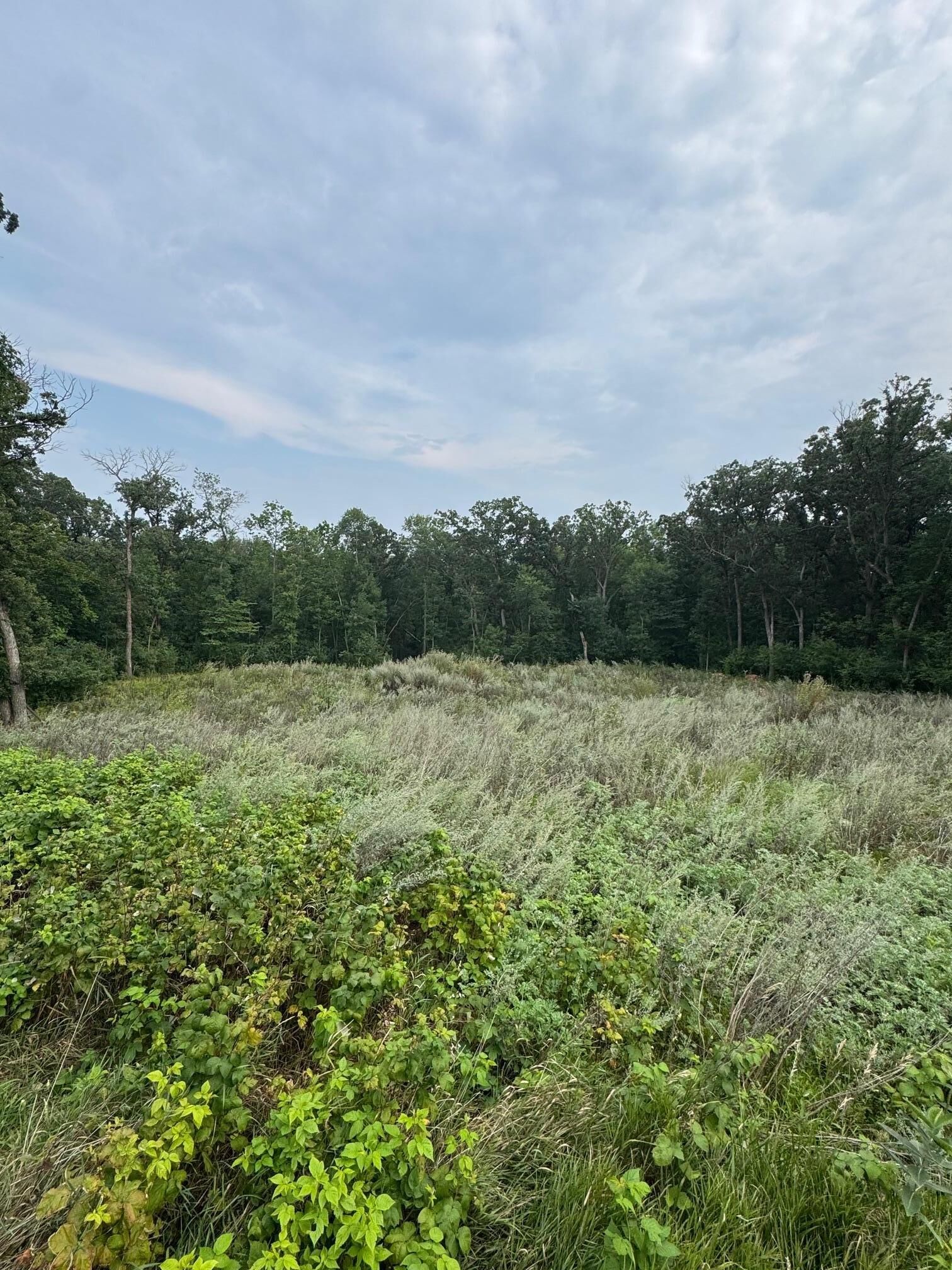 Property Photo:  Tbd N Fox Lake Lane  MN 56501 