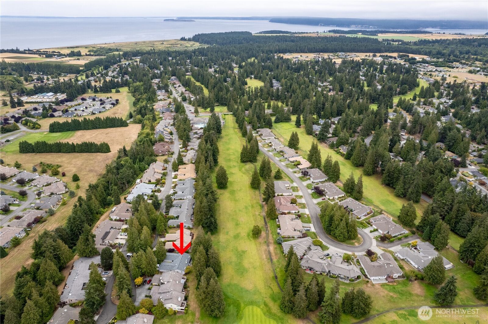 Property Photo:  147  Hilltop Drive  WA 98382 