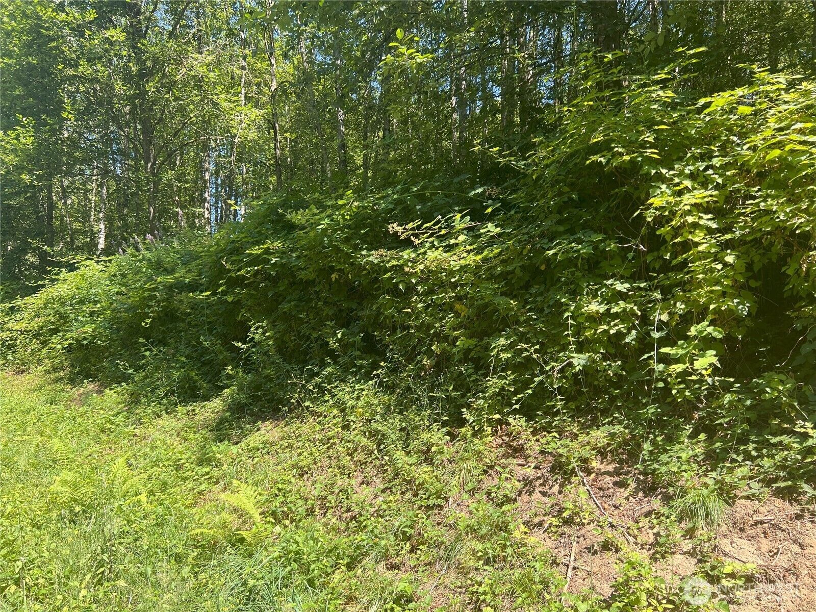 Property Photo:  188 Xx  71st Drive NE  WA 98223 