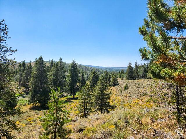 Property Photo:  5559 Forest Dr  UT 84036 