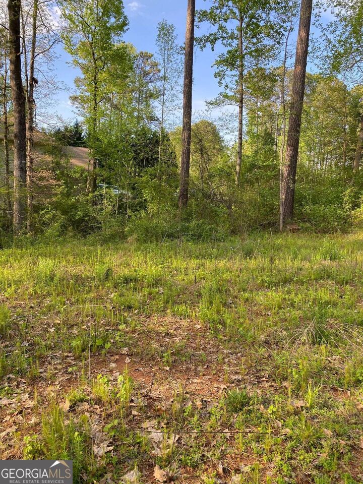 Property Photo: 3145 &Amp 3125 Spain Road GA 30039