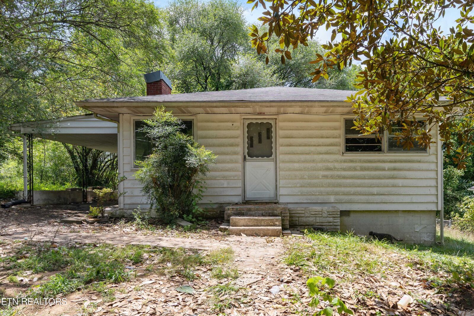 Property Photo:  110 Pine Lane  TN 37840 