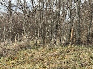Property Photo:  15750 Bryson Rd  OH 45761 