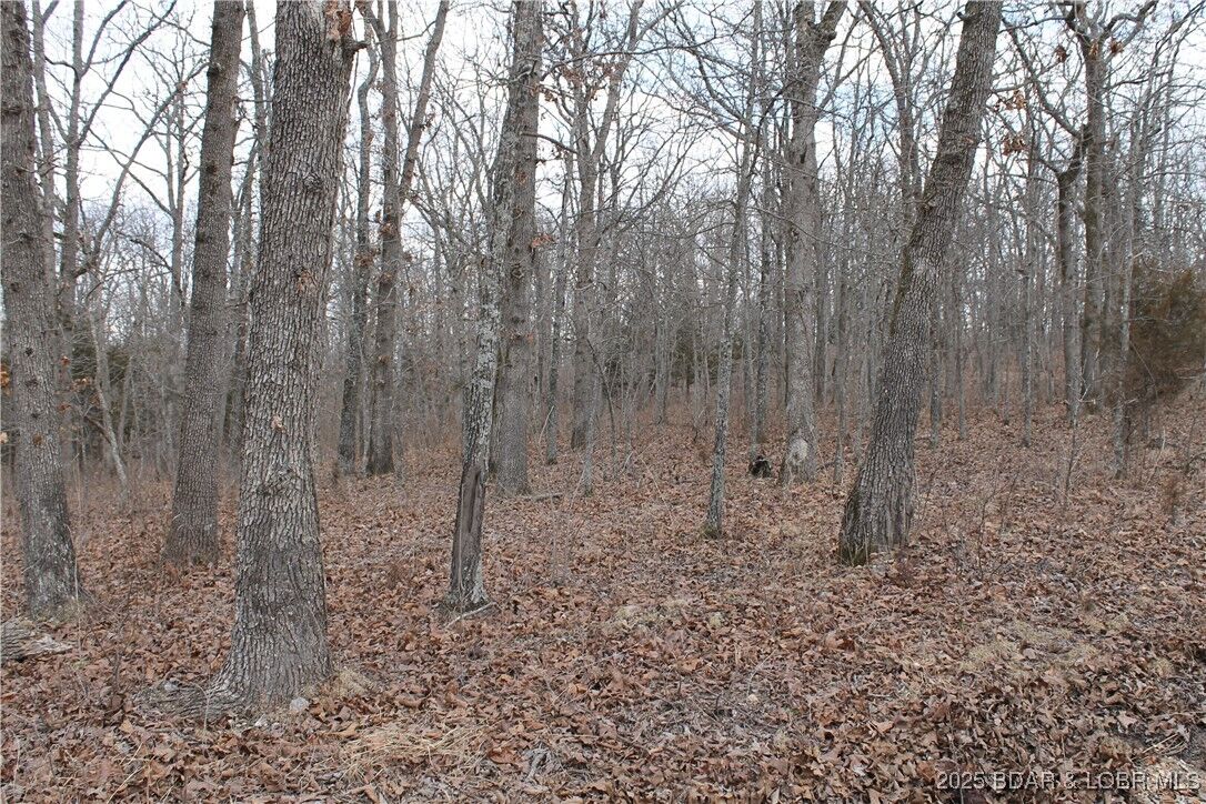 Property Photo:  Kip Drive 1632  MO 65326 