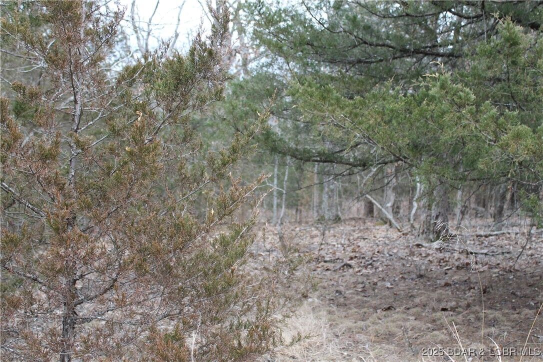 Property Photo: Toriyama Place 3694 MO 65326