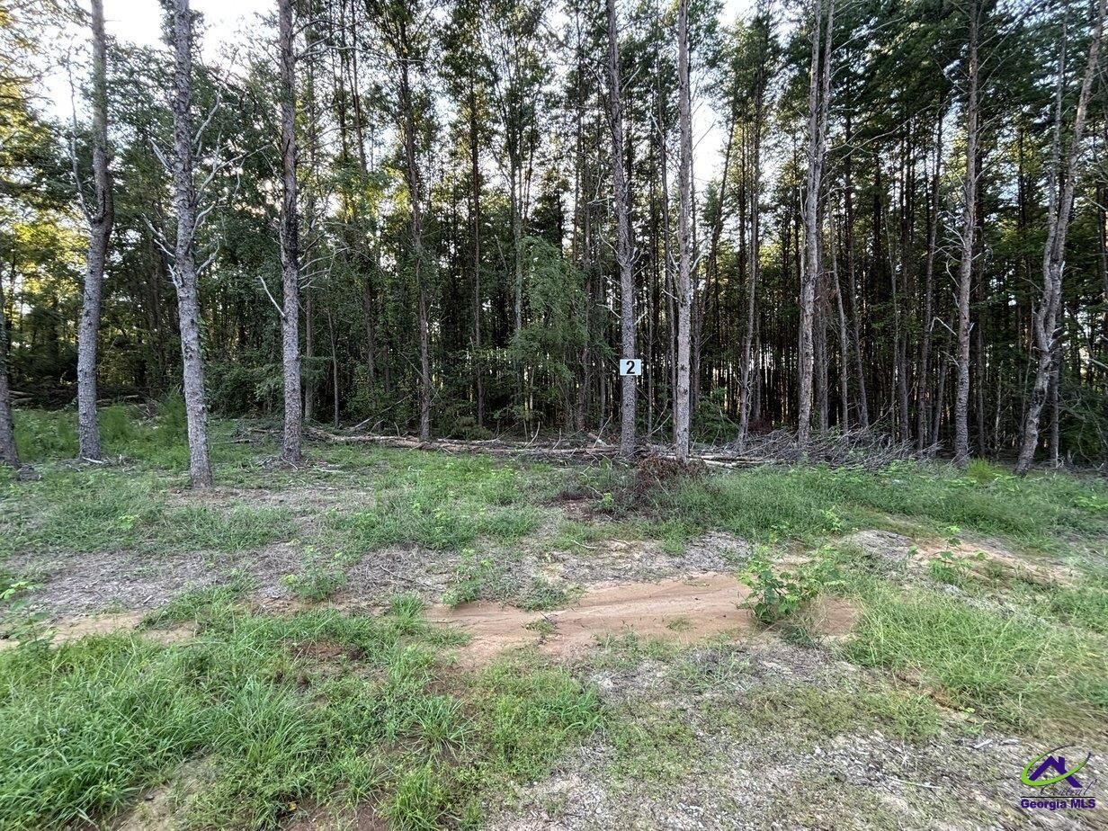 Property Photo:  Lot 2 Trojan Way  GA 31008 