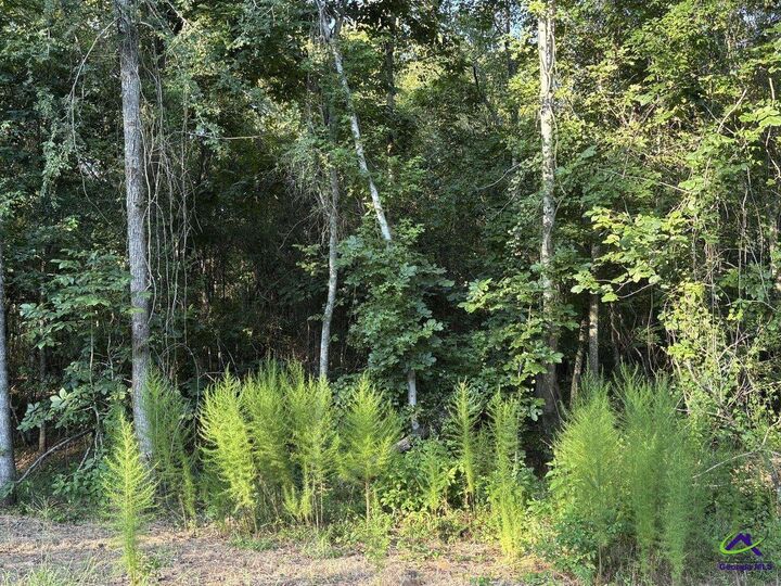 Property Photo:  Lot 5 Trojan Way  GA 31008 